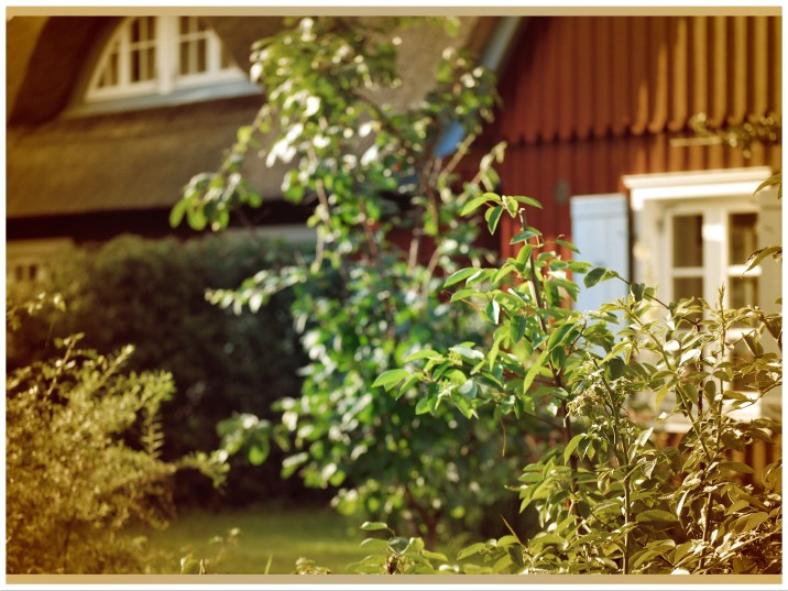 2012 07 31_0328 Kopie