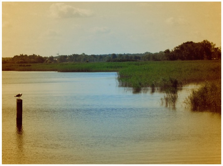 2012 08 03_0428_bearbeitet-1