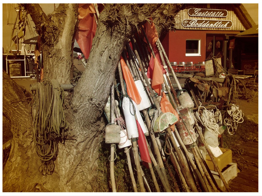 Zwischen Meer und Bodden: Auf der Halbinsel Fischland-Darß-Zingst