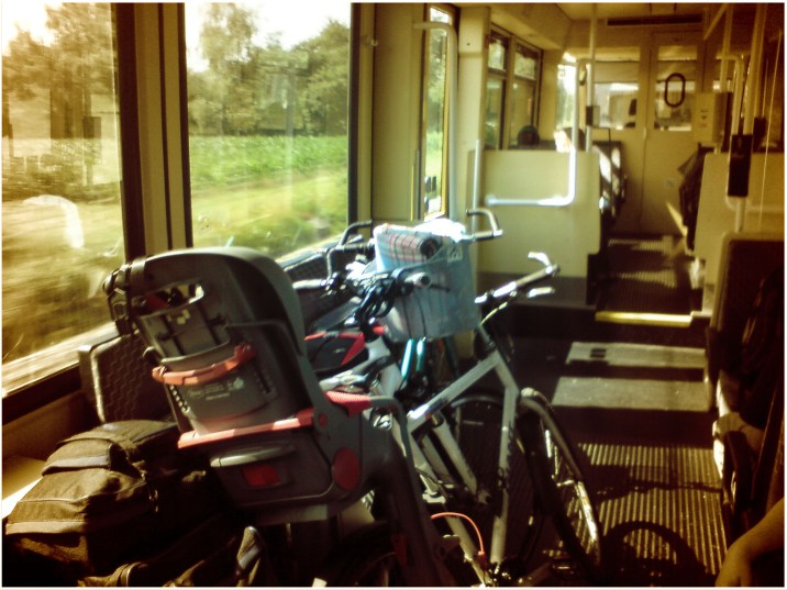 DSC00546_bearbeitet-1