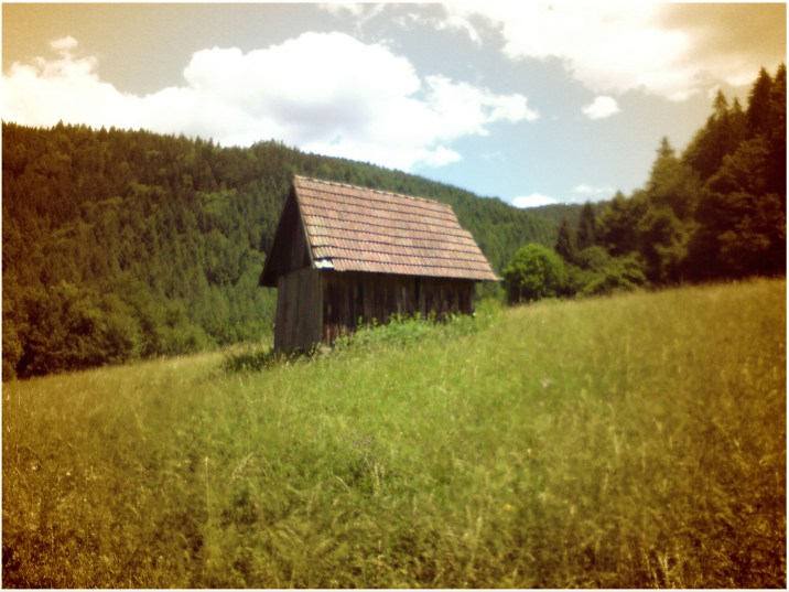 Allgäu oder Schwarzwald? - Heuhüttentäler bei Forbach