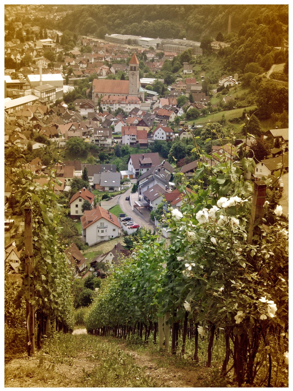 Tour de Murg – Radwandern mit Kind im&nbsp;Nordschwarzwald