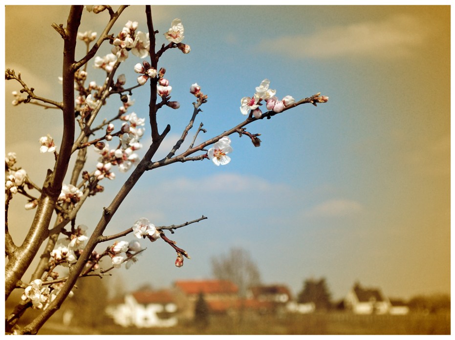 2013 04 07_1211_bearbeitet-1 Kopie