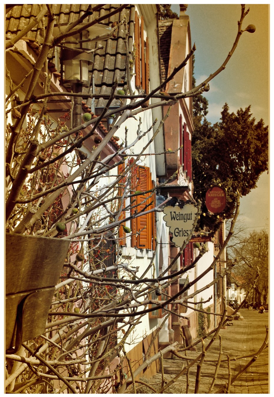 2013 04 07_1217_bearbeitet-2 Kopie