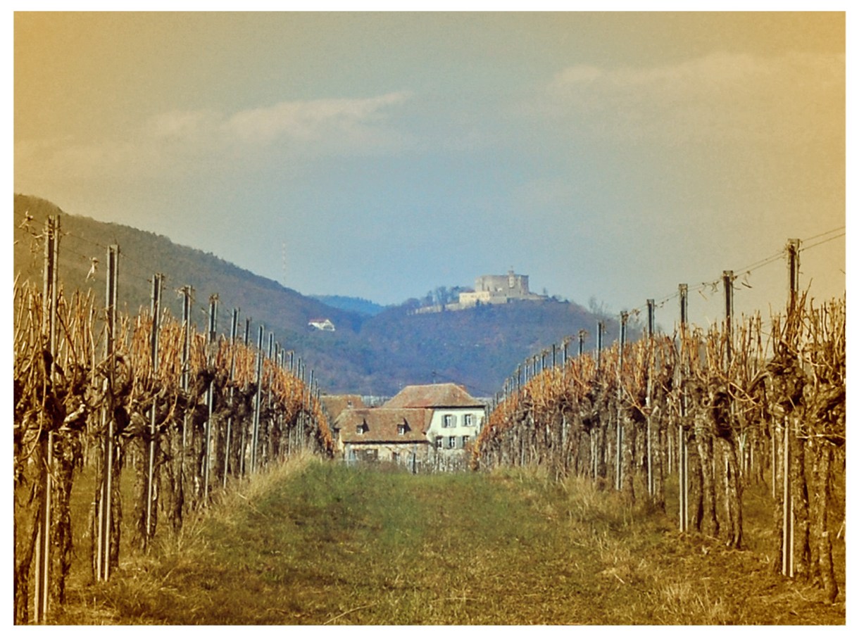 2013 04 07_1218_bearbeitet-1 Kopie