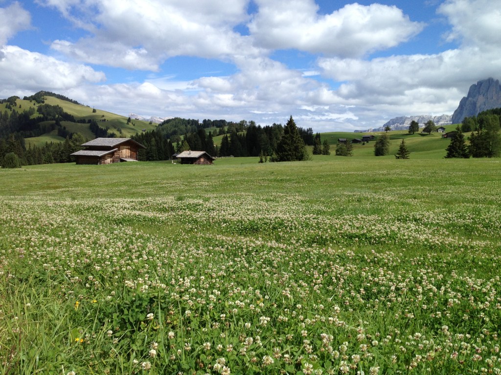 Bergsommer auf der Seiser&nbsp;Alm