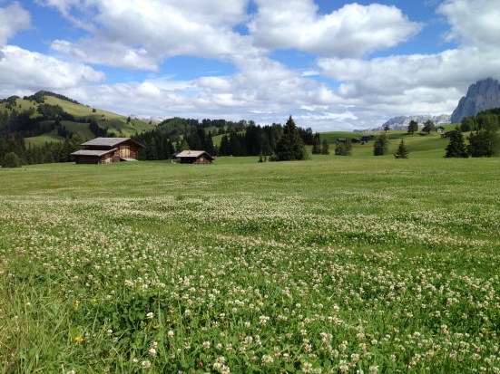 Bergsommer Seiser Alm_Almwiese