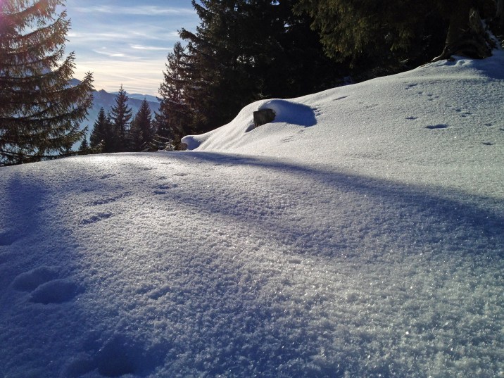 Für die schönen Ausblicke bleibt auf der Abfahrt nur wenig Zeit. 