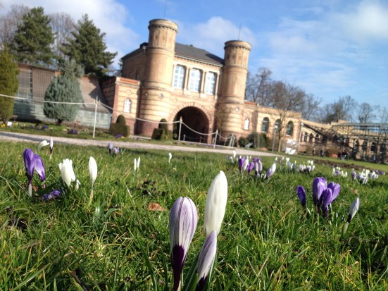 Frühlingsbeginn im Schlosspark