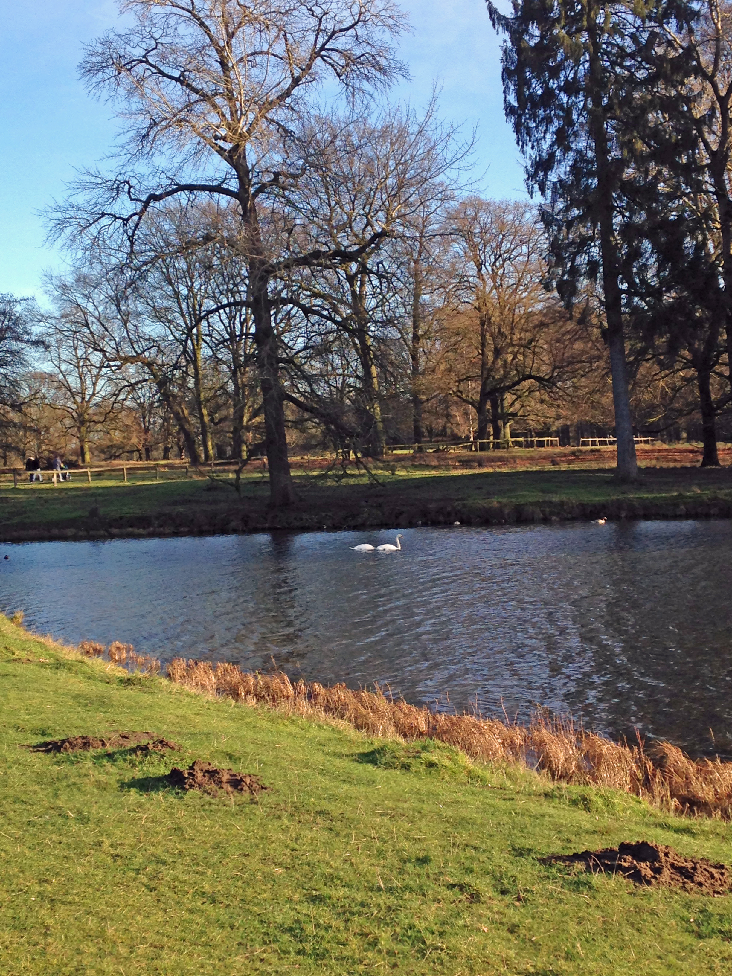 2016 01 10_8833_bearbeitet-1