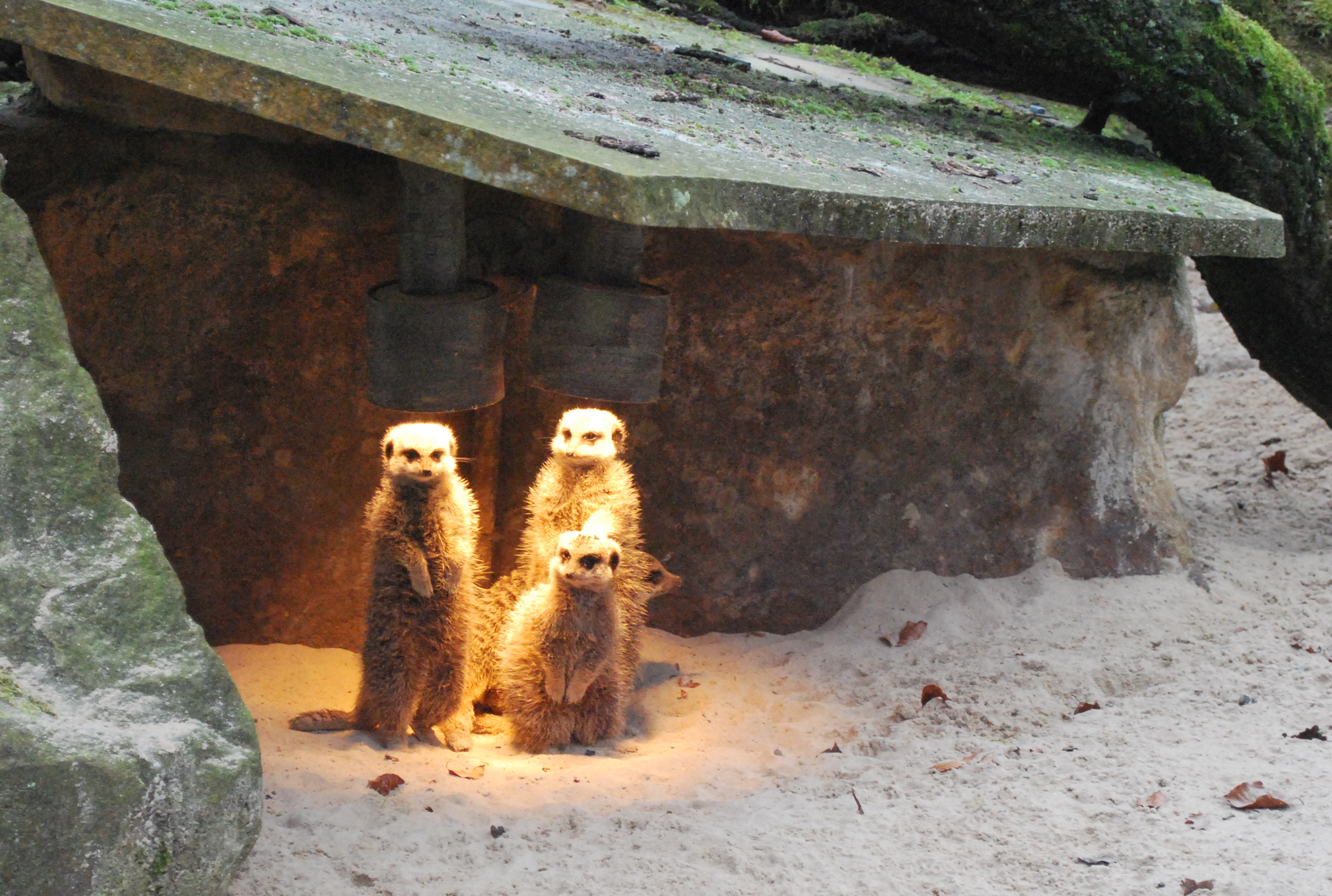 2014 12 13_5034_bearbeitet-1