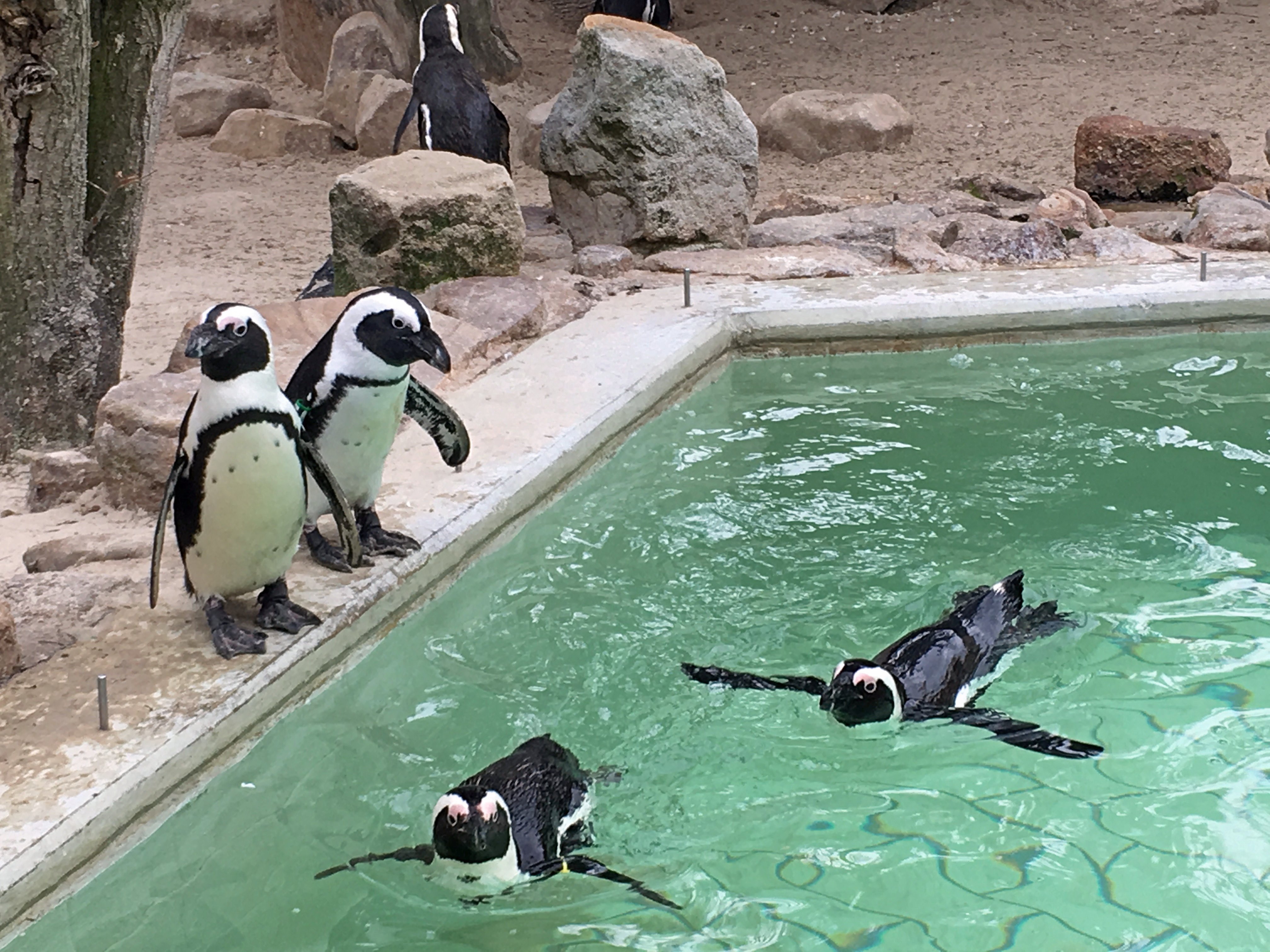 Foto 24.03.18, 15 47 42_bearbeitet-1